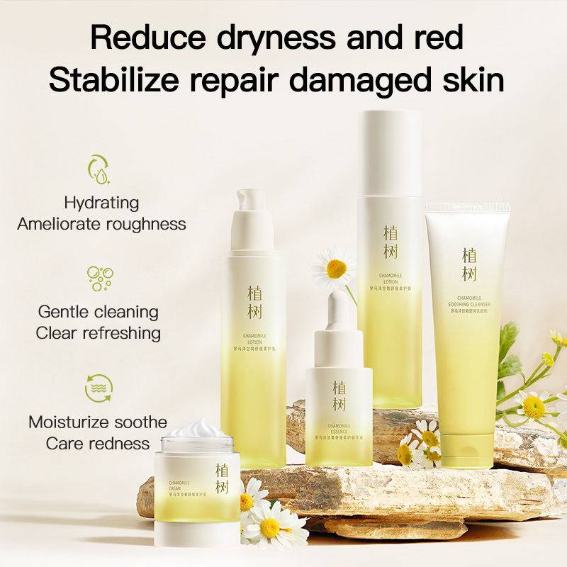 Plant Roman chamomile soothing skincare set for all skin types, boosting skin metabolism, anti-aging for Men and Women