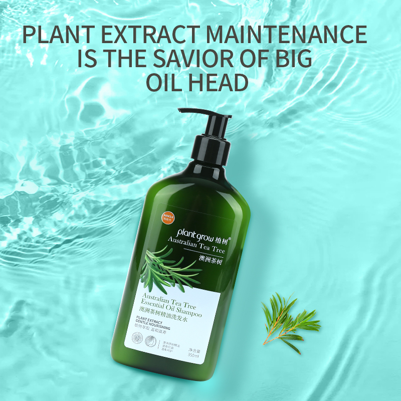 plant grow Australia tea tree oil shampoo for oily hair, to maintain dryness and eliminate dandruff for Women and Men