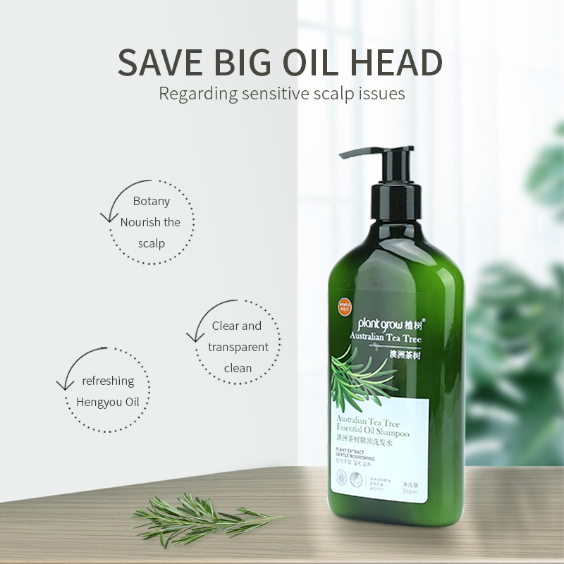 plant grow Australia tea tree oil shampoo for oily hair, to maintain dryness and eliminate dandruff for Women and Men