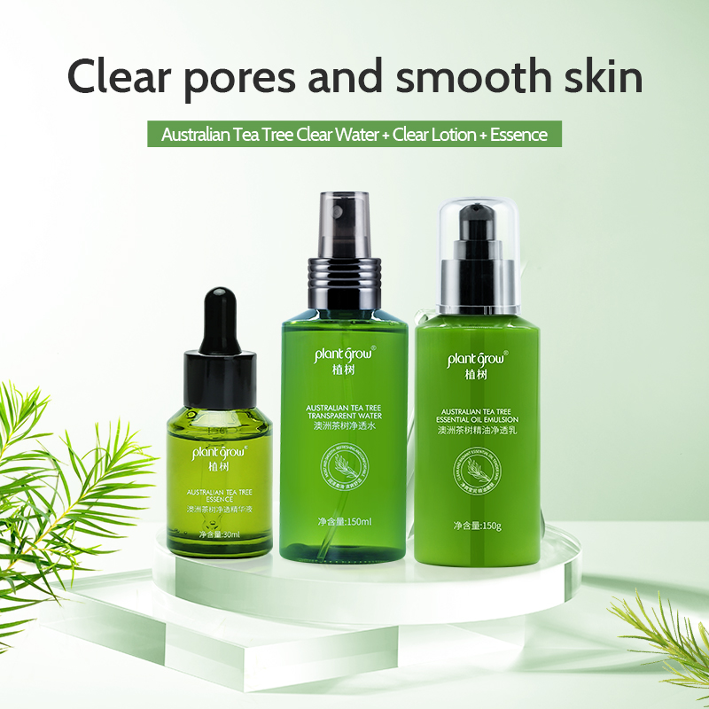 plant grow plant cactus 3-piece set Improve the skin with acne for Men and Women 