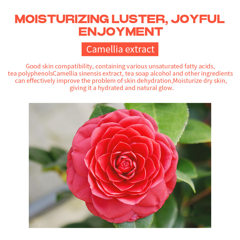 plant grow camellia 3-piece set Improves skin elasticity reduces fine line concerns