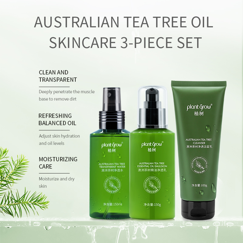 plant grow plant tree Australia tea tree essential oil skin care (single Three-piece set) 