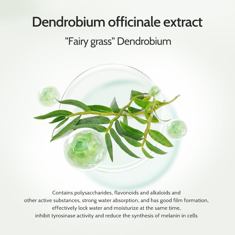 Plant Grow Dendrobium Officinale Handmade Soap for refreshing care(pic4)