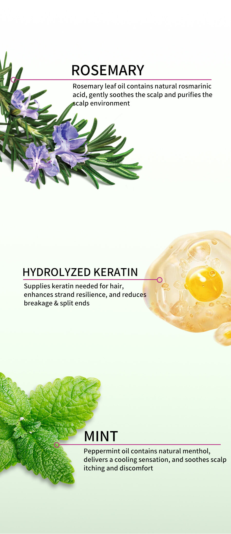 GreenLem ROSEMARY PEPPERMINT CLARIFYING HAIRCONDITIONER Strengthening Nourishing Refreshing Shampoo Natural Hair(pic4)