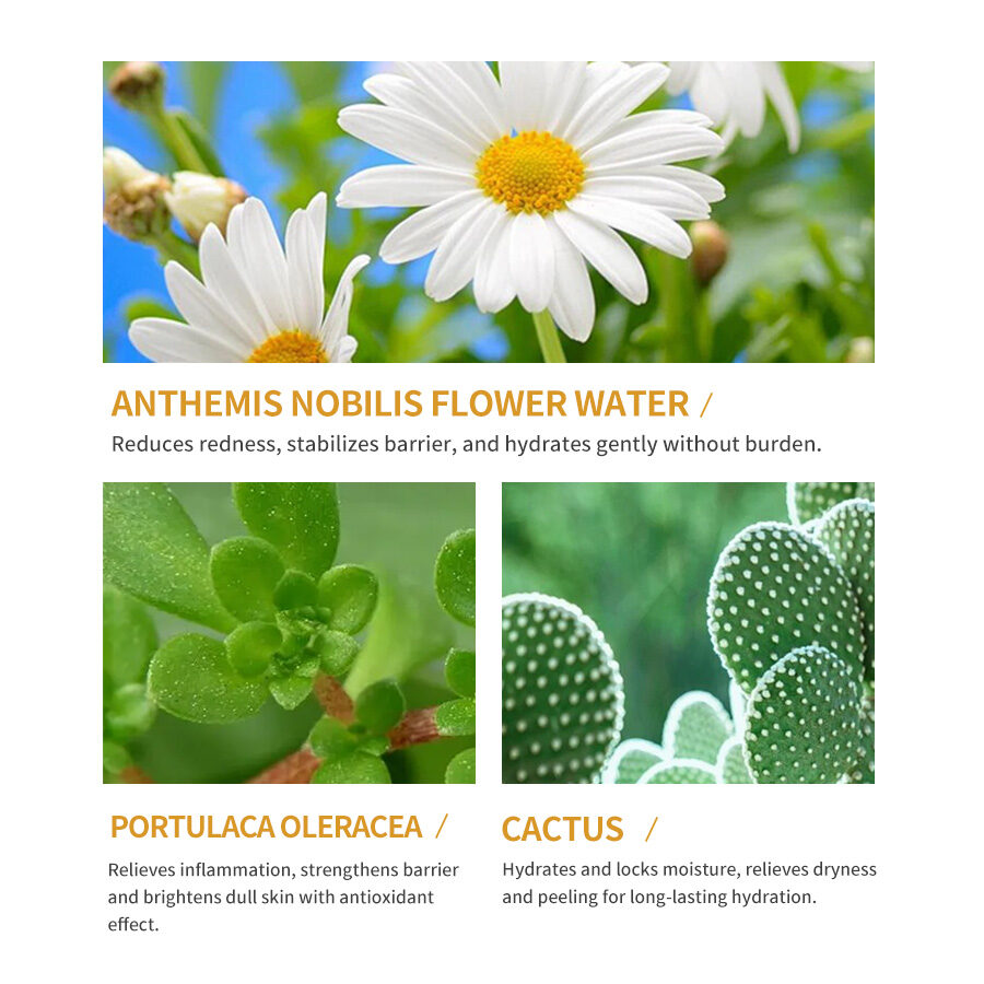 GreenLem Beauty Chamomile Masque Peel Sheet Lightening Facial for Combination Skin Moisturizing Face(pic4)
