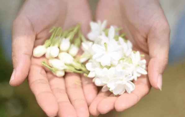 DAAO Cosmetic ®|The products are naturally carved and beautifully decorated. Which of the top 10 hydrosols is your favorite?(pic7) image.png