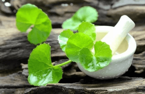 DAAO Cosmetic ®|The products are naturally carved and beautifully decorated. Which of the top 10 hydrosols is your favorite?(pic9) image.png