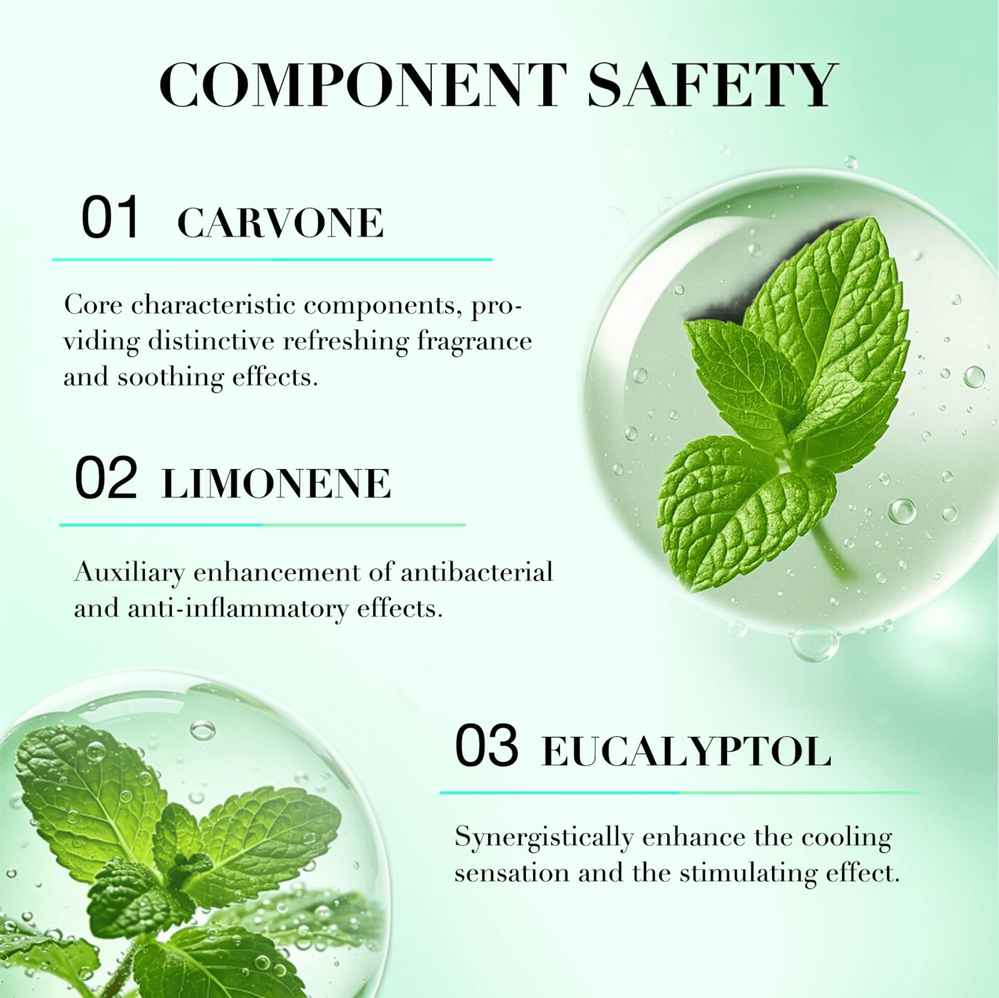 OEM ODM Pure Spearmint Essential Oil 5ml Fresh Mint Scent Calm Tense Body Improve Concentration Home(pic4)
