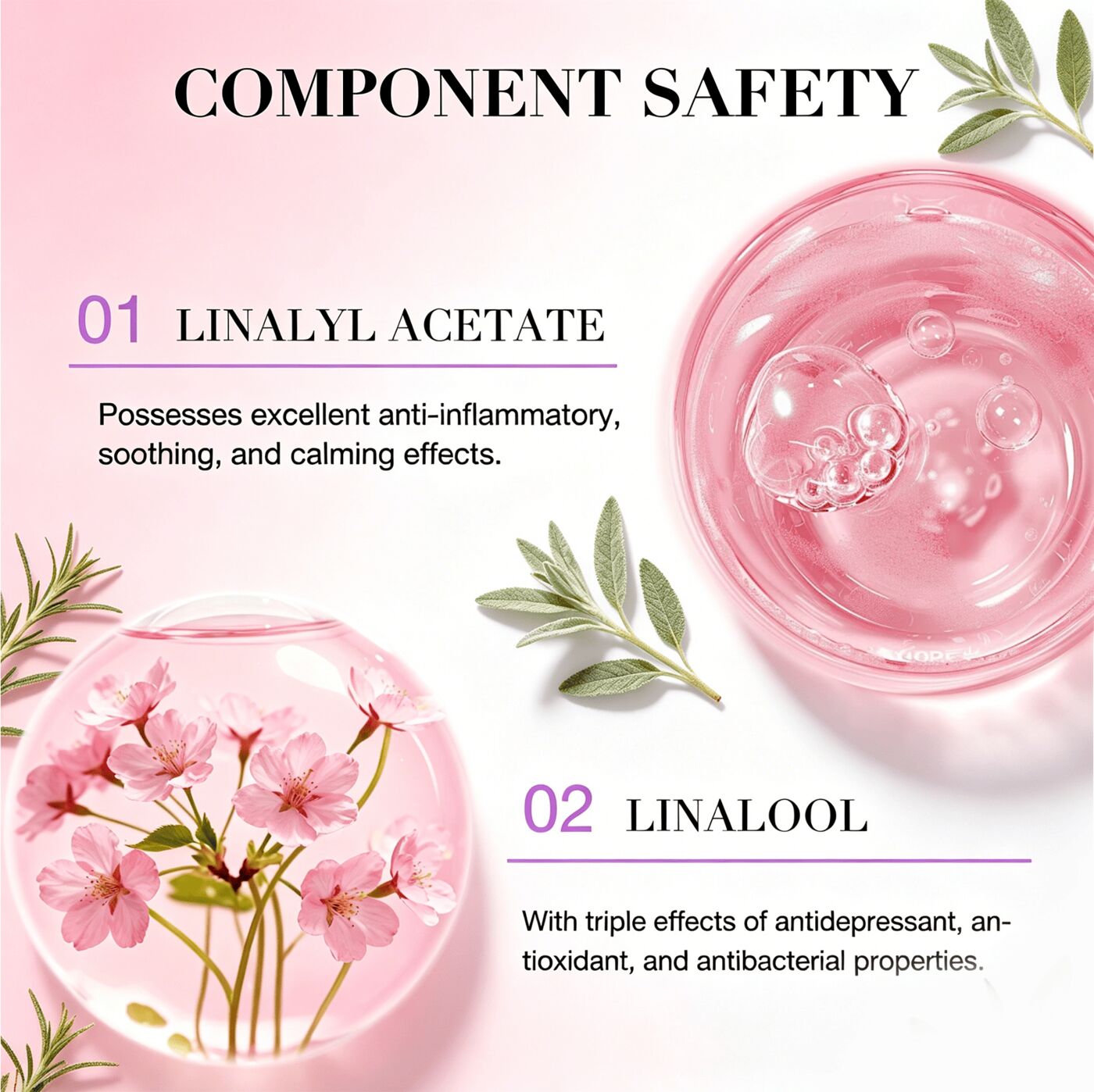 Private Label Clary Sage Aromatherapy Set for Stress Relief Relaxation 100% Pure Natural Calming Essential Oil OEM(pic4)
